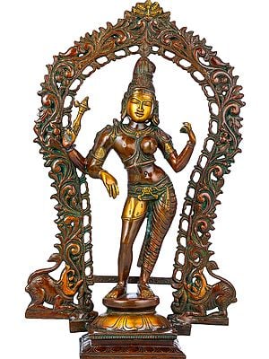 18" Ardhanarishvara - The Half Male and Half Female Form of  Shiva with Floral Aureole In Brass | Handmade | Made In India