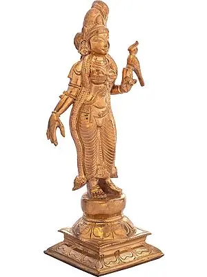 Devi Andal Holding a Parrot