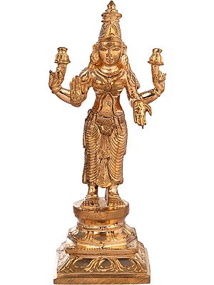 Lakshmi Blessing Her Devotees