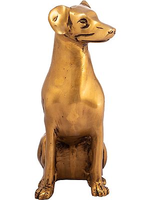 8" Dog Statue in Brass (Decorative Piece)