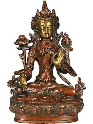 8" White Tara, Divinity On Her High Brow In Brass | Handmade | Made In India