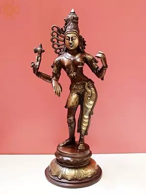 Buy Entrancing Tantric Sculptures of Lord Shiva Only at Exotic India