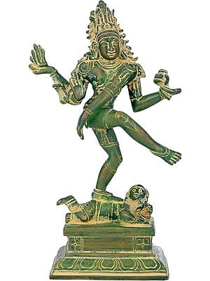 9" Dancing Shiva In Brass | Handmade | Made In India