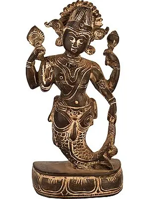 Matsya Avatar of Bhagawan Vishnu