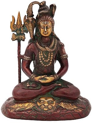 10" Mahayogi Shiva Brass Idol Seated on Tigerskin | Handmade Statue | Made in India