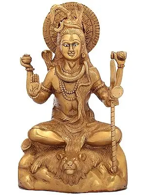 Lord Shiva In Blessing Mudra