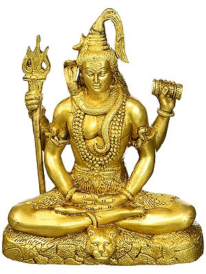 Lord Shiva In Meditation Mudra