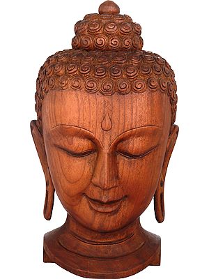 Tibetan Buddhist Lord Buddha Head  From Nepal