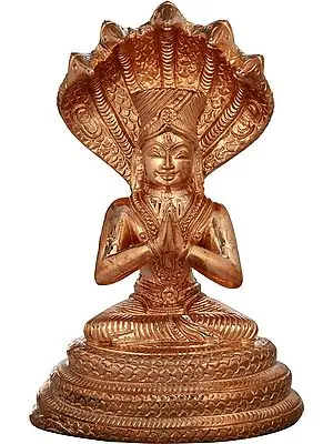 Sri Manavala Mamunigal