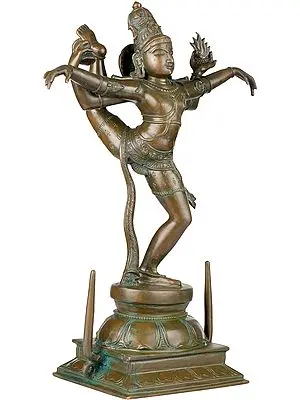 Shiva in Ananda Tandava (Nataraja)