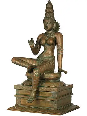 Haloed Parvati Seated On An Exquisite Pedestal, A Flower In Her Hand