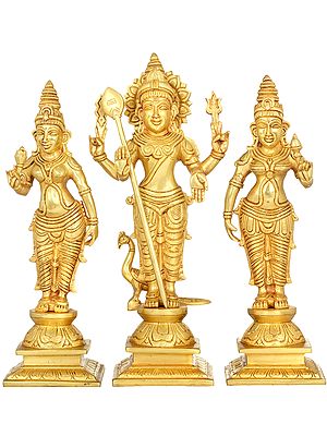 Karttikeya - Hindu War God With His Two Consorts