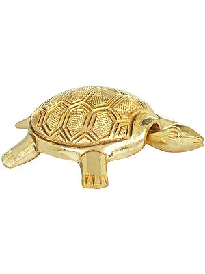 Vastu Tortoise with Yantra Underneath