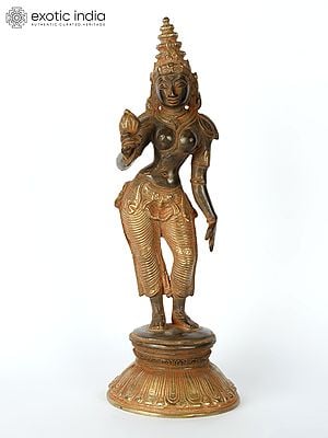10" Goddess Parvati in Triple Bent Posture | Handmade Brass Statue