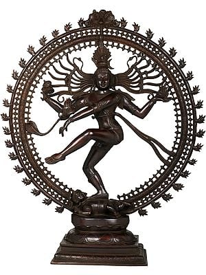 36" Unmistakable Silhouette of Nataraja Brass Idol | Handmade