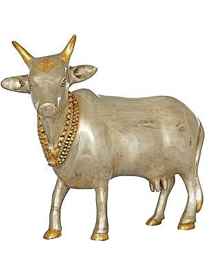 11" Holy Cow In Brass | Handmade | Made In India