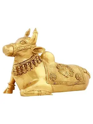 Nandi - The Vehicle of Lord Shiva
