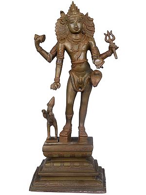 14" Bhikshasthana Shiva In Brass | Handmade | Made In India