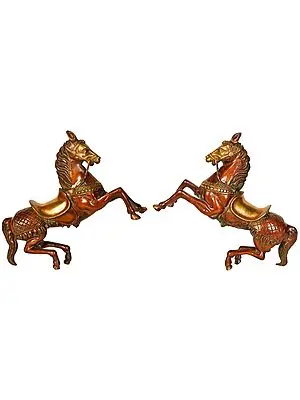 Pair of Horses