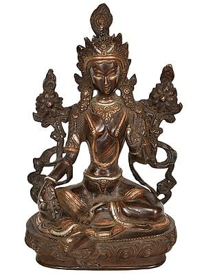 Goddess Green Tara (Tibetan Buddhist)
