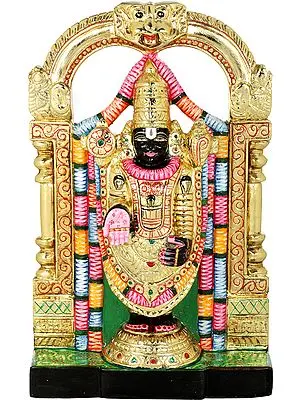 Sri Venkateswara  at Tirupati