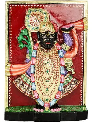 Shri Krishna as Shrinath Ji
