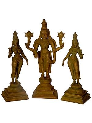12" Lord Vishnu with Shridevi and Bhudevi | Handmade | Madhuchista Vidhana (Lost-Wax) | Panchaloha Bronze from Swamimalai