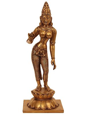 11" Devi Parvati In Brass | Handmade | Made In India