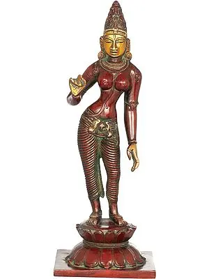 11" Devi Parvati In Brass | Handmade | Made In India