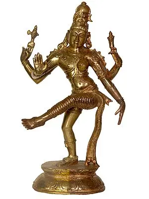 Dancing Ardhanarishvara: Half-Copper, Half-Bronze
