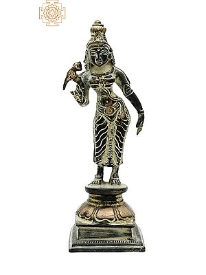 6" Devi Meenakshi Brass Statue | Handmade | Made in India