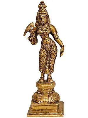6" Devi Meenakshi In Brass | Handmade | Made In India