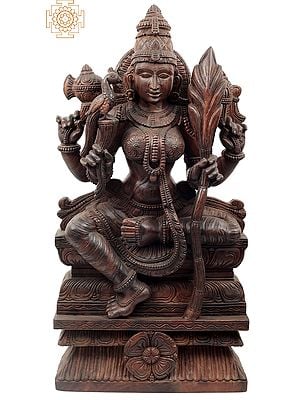 Goddess Rajarajeshwari (Tripura Sundari)