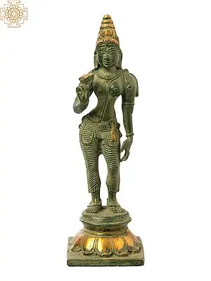 7" Standing Parvati Holding a Lotus In Brass | Handmade | Made In India