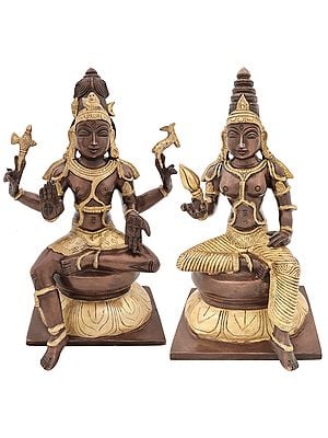 11" Lord Shiva as Pashupatinath with Goddess Parvati In Brass