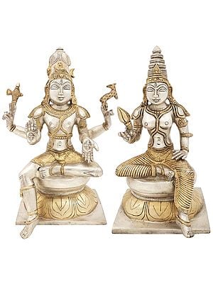 11" Lord Shiva as Pashupatinath with Goddess Parvati In Brass