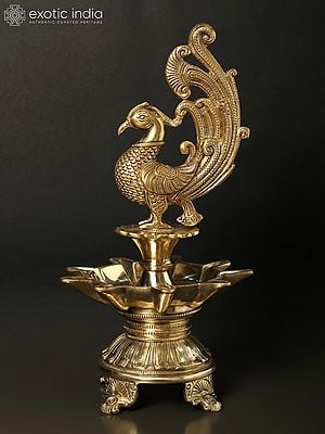 12" Nine Wicks Designer Peacock Lamp in Brass