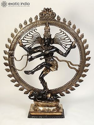 73" Large Black and Golden Nataraja (Dancing Lord Shiva) | Brass Statue