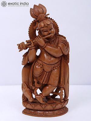 9" Beautiful Fluting Krishna Carved Idol