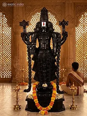 63" Large Black Color Tirupati Balaji (Venkateshvara)  Statue in Wood