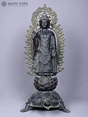 20" Buddha Standing on Tortoise | Copper Statue Gilded with Gold | From Nepal