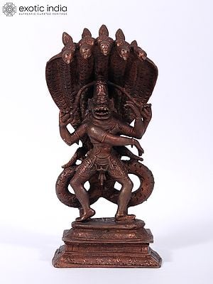 7" Lord Narasimha - The Fourth Incarnation of Lord Vishnu