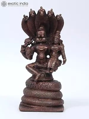 5" Small Lakshmi - Narasimha Seated on Sheshnag | Copper Statue