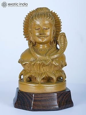 7" Lord Shiva Bust in Wood