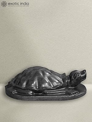 9" Marble Idol Of Vastu Tortoise | Black Marble Sculpture