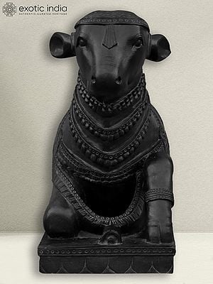 30" Nandi Idol With Attractive Carving | Black Marble Statue