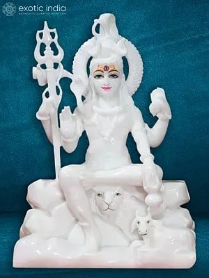 15" Beautiful Shiva Statue - Perfect Addition To Your Altar