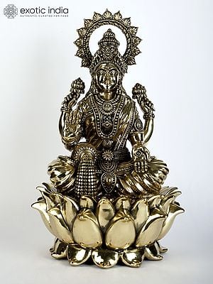 12" Superfine Blessing Goddess Lakshmi Seated on Lotus | Brass Statue