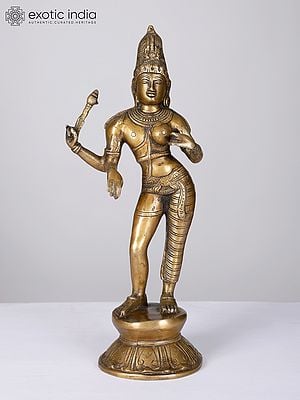 14" Ardhanarishvara (Shiva-Shakti) | Brass Statue