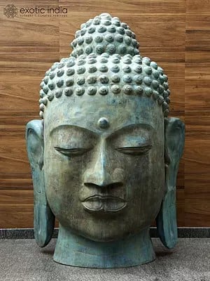 80" Super Large Size Meditating Buddha Head with Dried Snails & Third Eye | Brass Sculpture from Indonesia | Shipped by Sea Overseas
